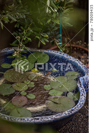 早梅雨の風景 78009435