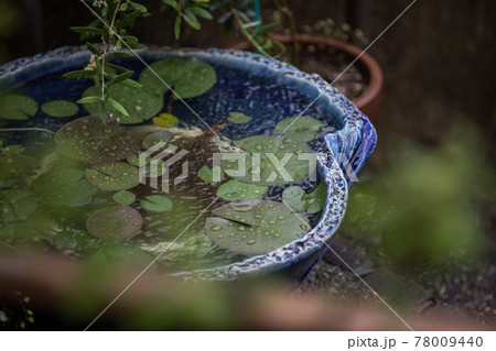 早梅雨の風景 早梅雨の風景 78009440