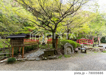 【静岡県】 目の霊山 油山寺 【静岡県】 目の霊山 油山寺 78009886