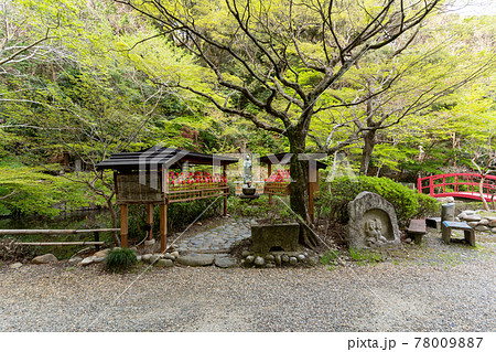 【静岡県】 目の霊山 油山寺 【静岡県】 目の霊山 油山寺 78009887