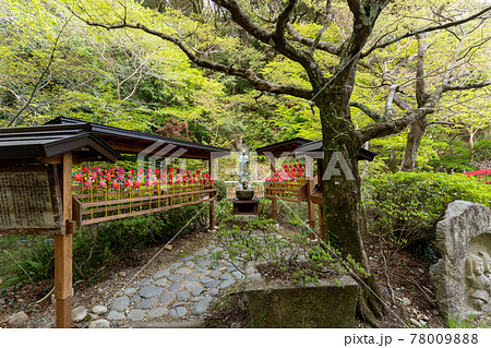 【静岡県】 目の霊山 油山寺 【静岡県】 目の霊山 油山寺 78009888