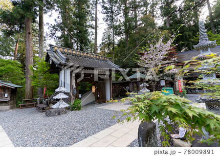 【静岡県】 目の霊山 油山寺 【静岡県】 目の霊山 油山寺 78009891