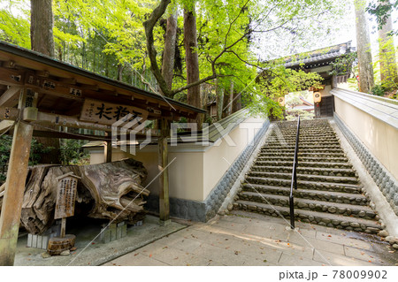 【静岡県】 目の霊山 油山寺 【静岡県】 目の霊山 油山寺 78009902