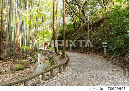 【静岡県】 目の霊山 油山寺 【静岡県】 目の霊山 油山寺 78009903