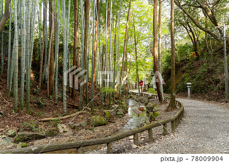 【静岡県】 目の霊山 油山寺 【静岡県】 目の霊山 油山寺 78009904