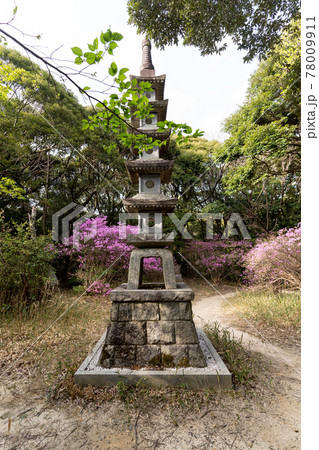【静岡県】　目の霊山 油山寺　 78009911