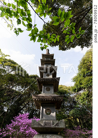 【静岡県】 目の霊山 油山寺 【静岡県】 目の霊山 油山寺 78009912