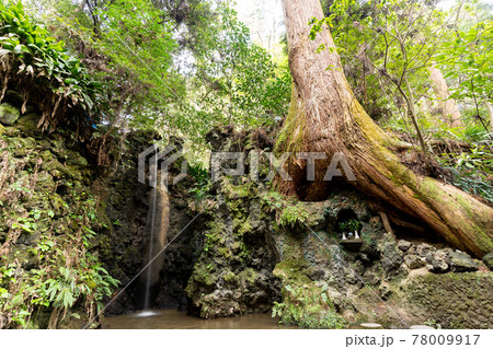 【静岡県】 目の霊山 油山寺 【静岡県】 目の霊山 油山寺 78009917