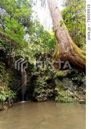 【静岡県】 目の霊山 油山寺 【静岡県】 目の霊山 油山寺 78009919
