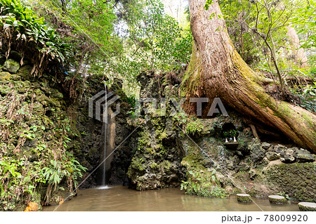 【静岡県】 目の霊山 油山寺 【静岡県】 目の霊山 油山寺 78009920