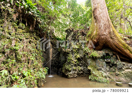 【静岡県】 目の霊山 油山寺 【静岡県】 目の霊山 油山寺 78009921
