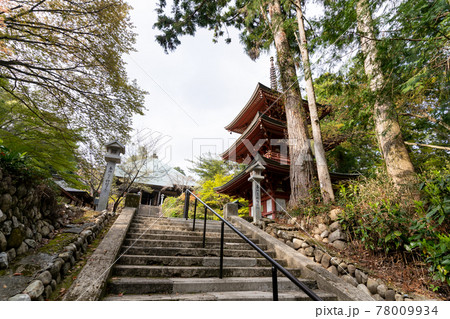 【静岡県】 目の霊山 油山寺 【静岡県】 目の霊山 油山寺 78009934