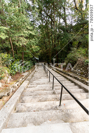 【静岡県】 目の霊山 油山寺 【静岡県】 目の霊山 油山寺 78009937