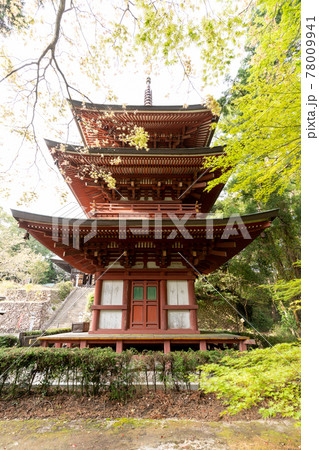 【静岡県】　目の霊山 油山寺　 78009941