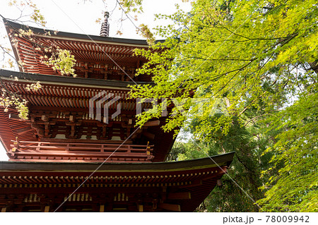 【静岡県】　目の霊山 油山寺　 78009942