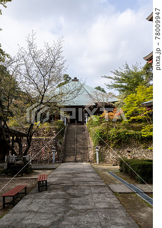 【静岡県】 目の霊山 油山寺 【静岡県】 目の霊山 油山寺 78009947
