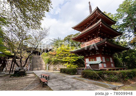【静岡県】 目の霊山 油山寺 【静岡県】 目の霊山 油山寺 78009948