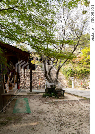 【静岡県】 目の霊山 油山寺 【静岡県】 目の霊山 油山寺 78009951