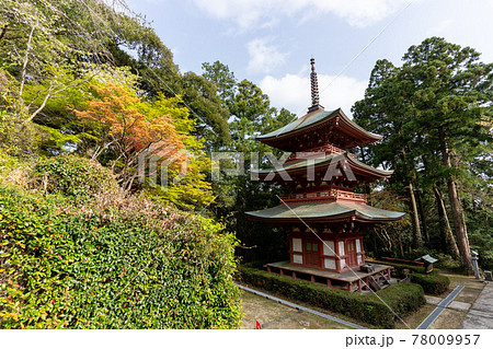 【静岡県】　目の霊山 油山寺　 78009957