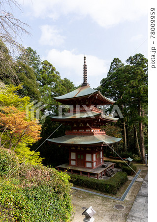 【静岡県】 目の霊山 油山寺 【静岡県】 目の霊山 油山寺 78009959