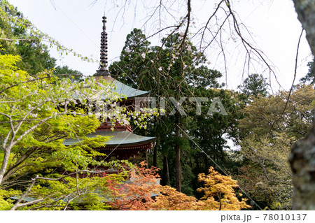 【静岡県】 目の霊山 油山寺 【静岡県】 目の霊山 油山寺 78010137