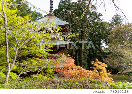 【静岡県】 目の霊山 油山寺 【静岡県】 目の霊山 油山寺 78010138