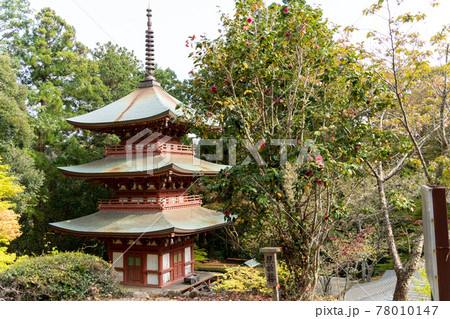 【静岡県】 目の霊山 油山寺 【静岡県】 目の霊山 油山寺 78010147