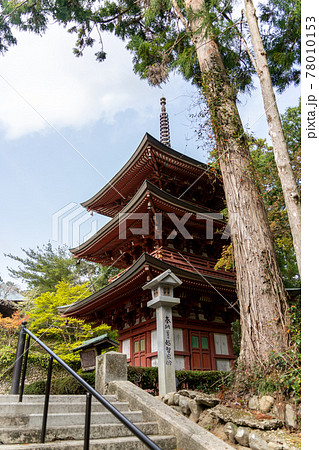 【静岡県】 目の霊山 油山寺 【静岡県】 目の霊山 油山寺 78010153