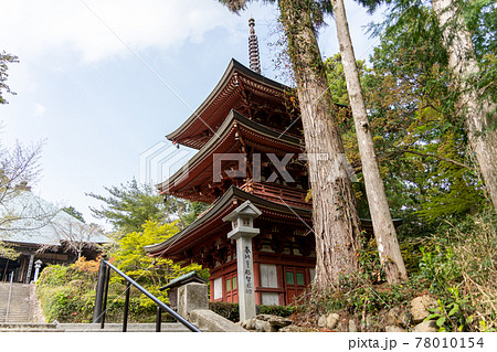 【静岡県】　目の霊山 油山寺　 78010154
