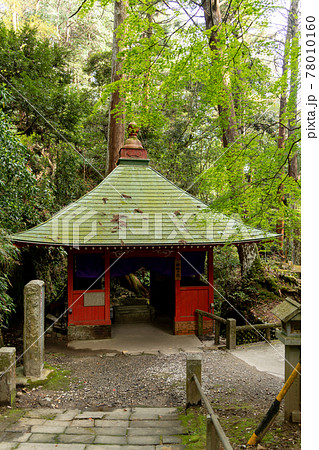 【静岡県】 目の霊山 油山寺 【静岡県】 目の霊山 油山寺 78010160