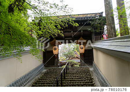 【静岡県】 目の霊山 油山寺 【静岡県】 目の霊山 油山寺 78010176