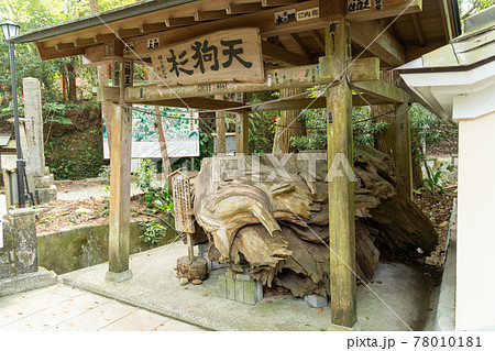 【静岡県】 目の霊山 油山寺 【静岡県】 目の霊山 油山寺 78010181