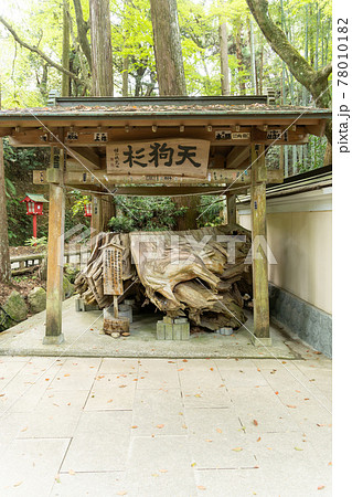 【静岡県】 目の霊山 油山寺 【静岡県】 目の霊山 油山寺 78010182