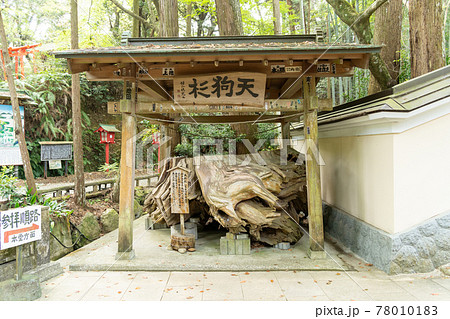 【静岡県】 目の霊山 油山寺 【静岡県】 目の霊山 油山寺 78010183