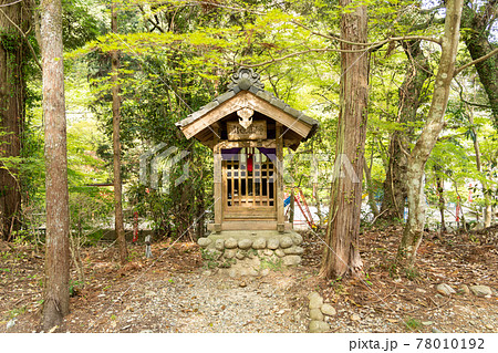 【静岡県】 目の霊山 油山寺 【静岡県】 目の霊山 油山寺 78010192