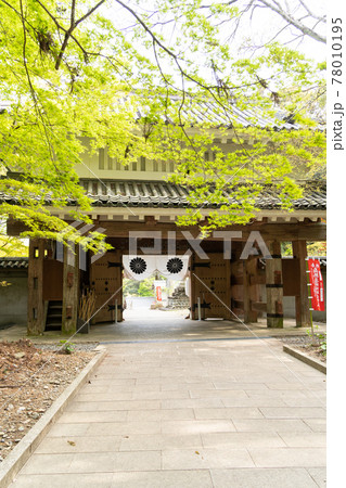 【静岡県】 目の霊山 油山寺 【静岡県】 目の霊山 油山寺 78010195