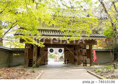 【静岡県】 目の霊山 油山寺 【静岡県】 目の霊山 油山寺 78010196