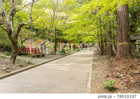 【静岡県】 目の霊山 油山寺 【静岡県】 目の霊山 油山寺 78010197