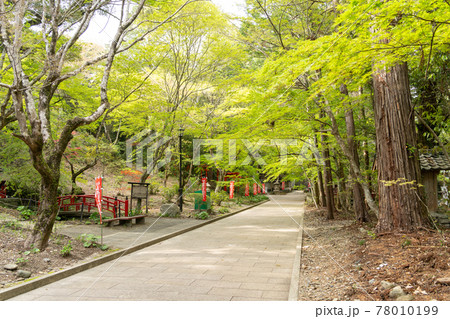 【静岡県】 目の霊山 油山寺 【静岡県】 目の霊山 油山寺 78010199