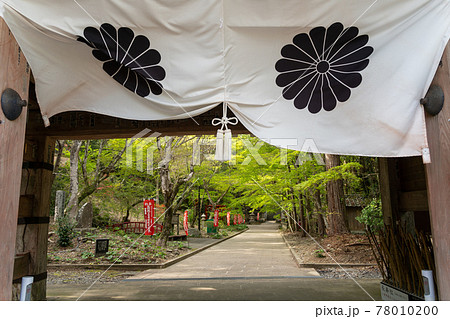 【静岡県】 目の霊山 油山寺 【静岡県】 目の霊山 油山寺 78010200