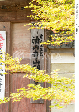 【静岡県】 目の霊山 油山寺 【静岡県】 目の霊山 油山寺 78010205