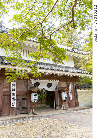 【静岡県】 目の霊山 油山寺 【静岡県】 目の霊山 油山寺 78010212