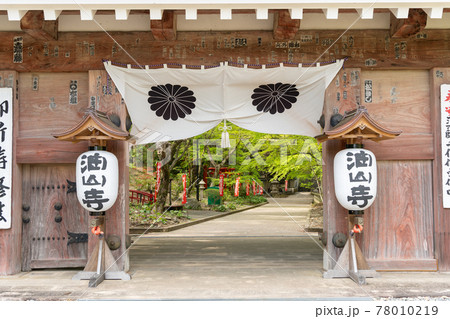 【静岡県】 目の霊山 油山寺 【静岡県】 目の霊山 油山寺 78010219