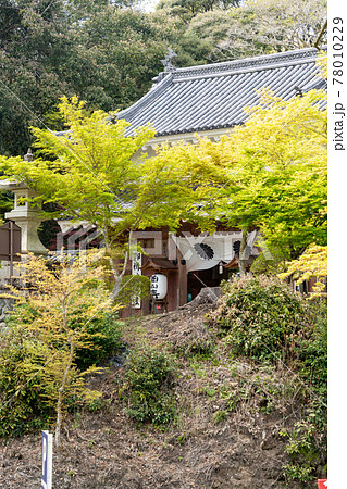【静岡県】 目の霊山 油山寺 【静岡県】 目の霊山 油山寺 78010229