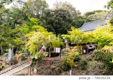 【静岡県】 目の霊山 油山寺 【静岡県】 目の霊山 油山寺 78010230