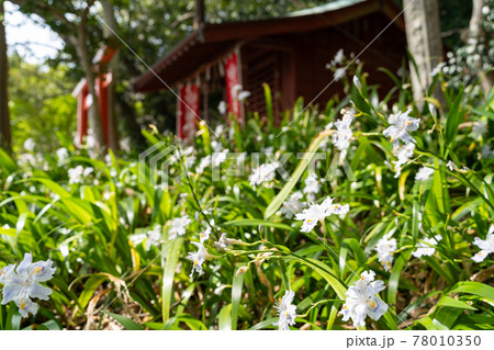 【静岡県】 久能山東照宮 【静岡県】 久能山東照宮 78010350