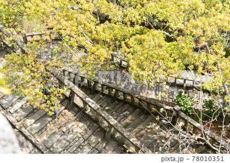 【静岡県】　久能山東照宮 78010351