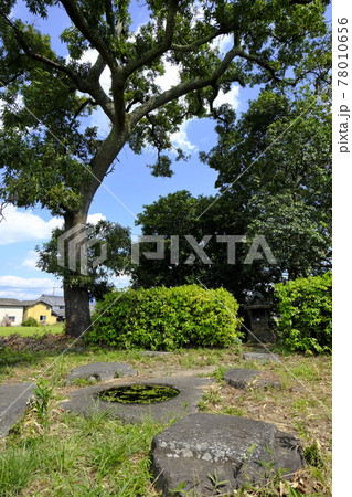 本薬師寺跡 本薬師寺跡 78010656