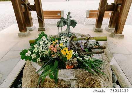 栃木県 白鷺神社 花手水 昼間の写真素材