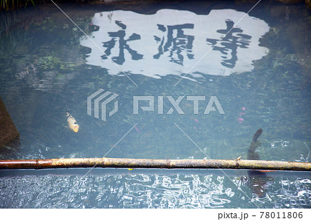 永源寺 池の写り込み 滋賀県東近江市 永源寺 池の写り込み 滋賀県東近江市 78011806